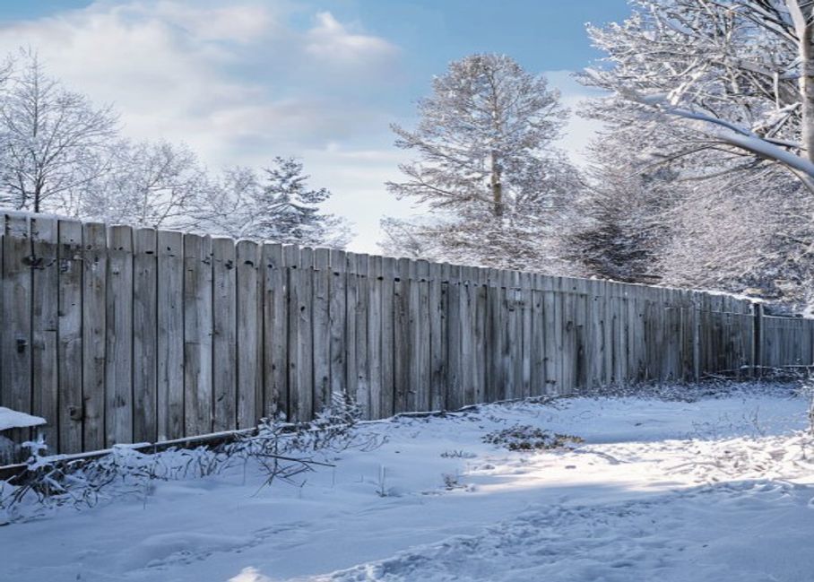 Wood fence standing through a snowy Ontario winter