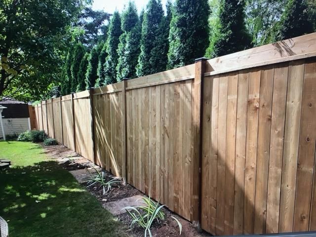 Cedar wood privacy fence in a Toronto-area backyard